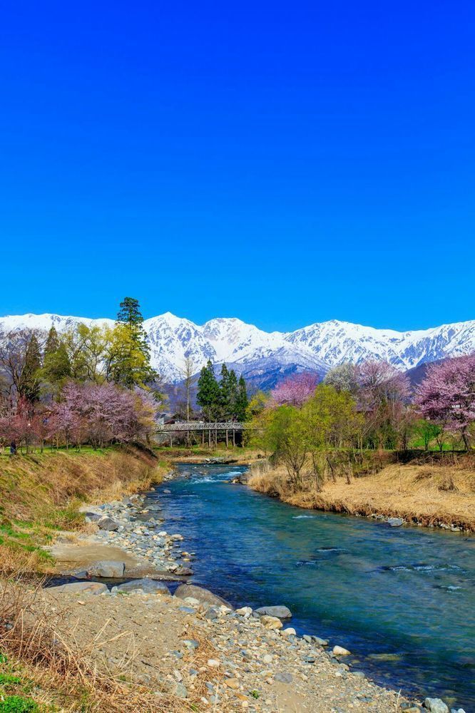 Villa Rengatei Hakuba Eksteriør billede