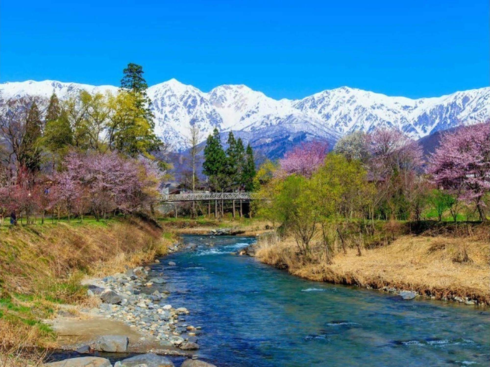 Villa Rengatei Hakuba Eksteriør billede